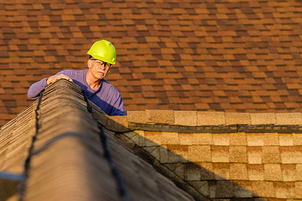 Best Roof Gutter Cleaning  in Pecos, TX